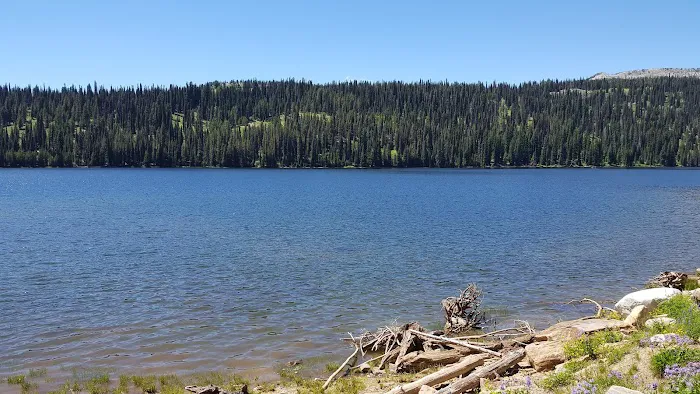 Grouse Group Picnic Site (recgovnpsdata) Picture 9