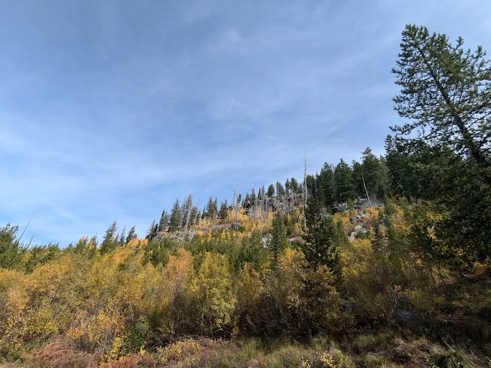 Grouse Group Picnic Site (recgovnpsdata) Picture 7
