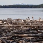 Lake Fork Campground