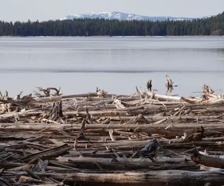 Lake Fork Campground