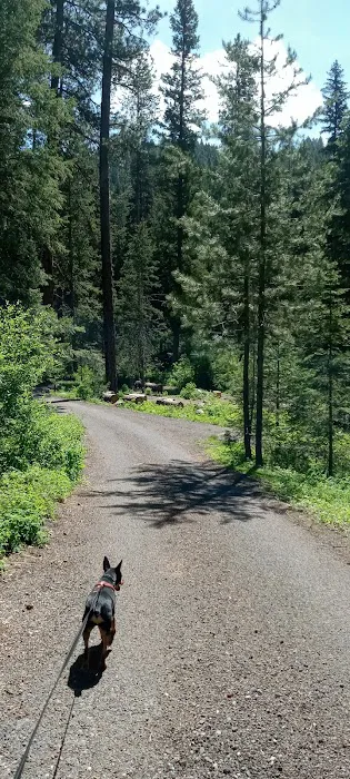 Four Mile Campground Picture 1