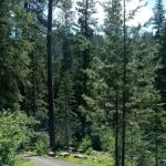 Four Mile Campground