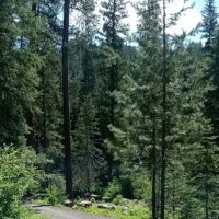 Four Mile Campground ico