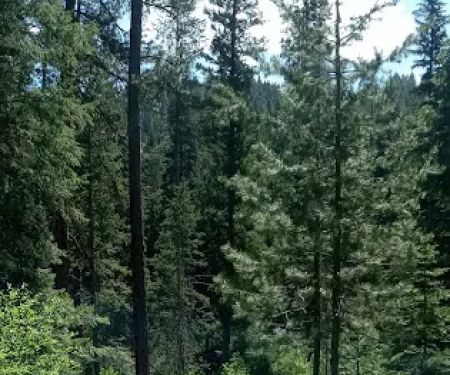 Four Mile Campground