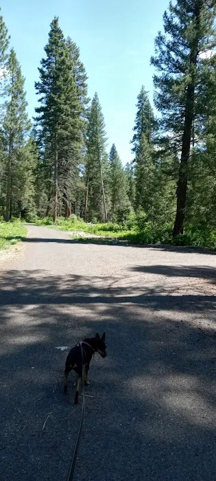 Four Mile Campground Picture 4