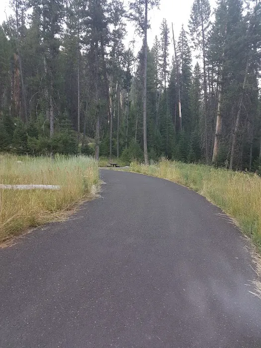 Four Mile Campground Picture 2