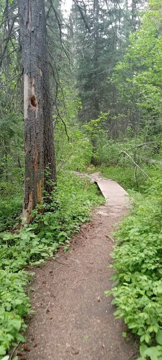 Four Mile Campground Picture 10