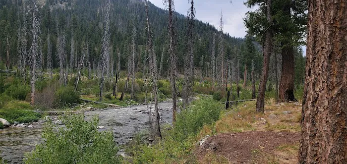 Ice Hole Campground Picture 3