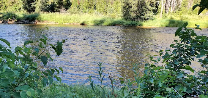 Ice Hole Campground Picture 5