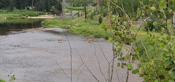 Ice Hole Campground Picture 1