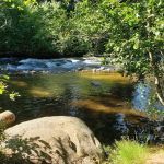 Last Chance Campground