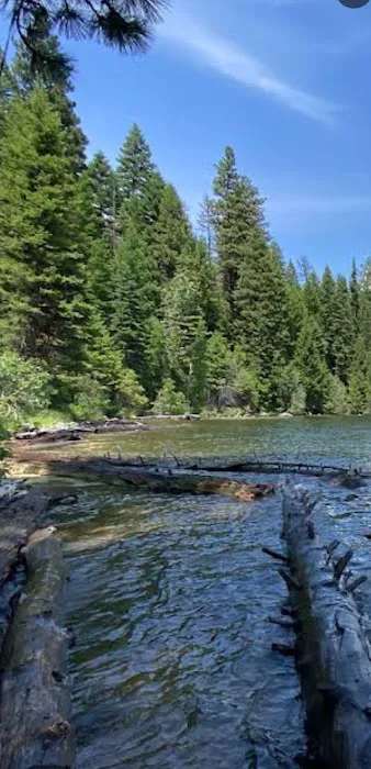 Ponderosa Peninsula Campground Loop Picture 2