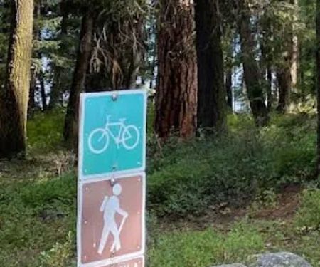 Ponderosa Peninsula Campground Loop