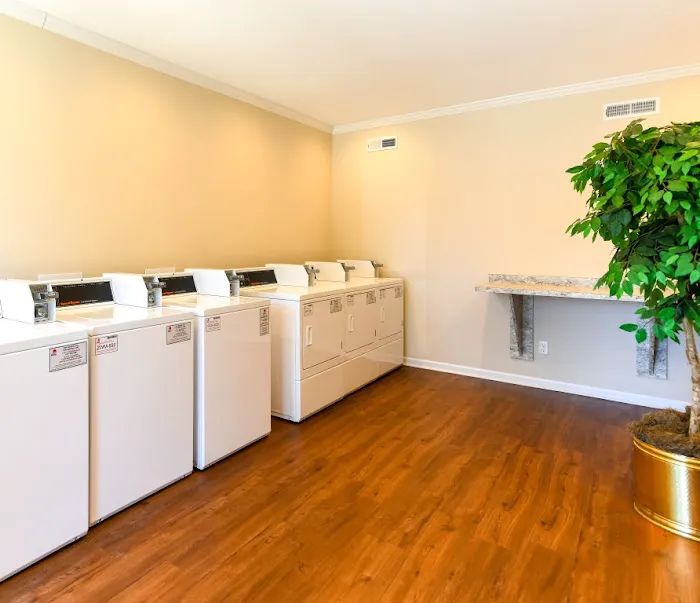 King Arthur's Court Picture 4