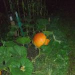 Sunset View Mobile Home Park