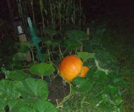 Sunset View Mobile Home Park