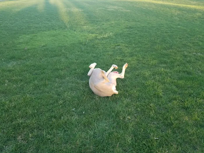 Barry's Resort & Mobile Home Prk Picture 1