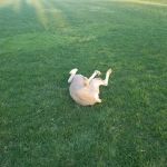 Barry's Resort & Mobile Home Prk