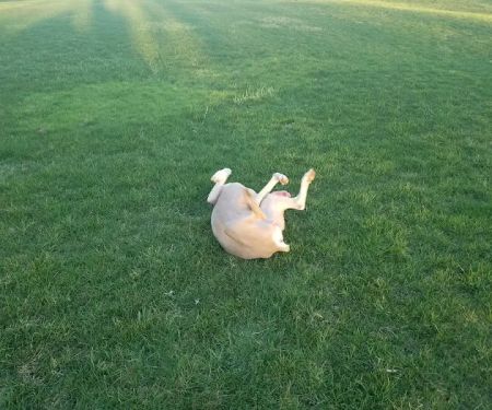 Barry's Resort & Mobile Home Prk