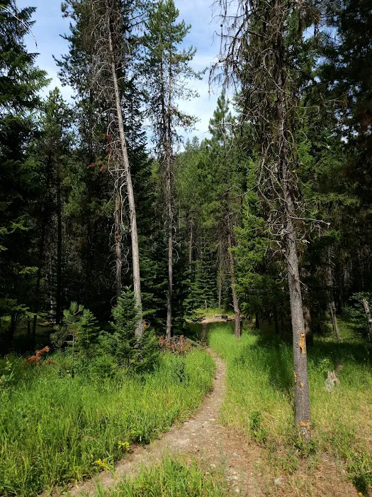 Poverty Flat Campground Picture 2