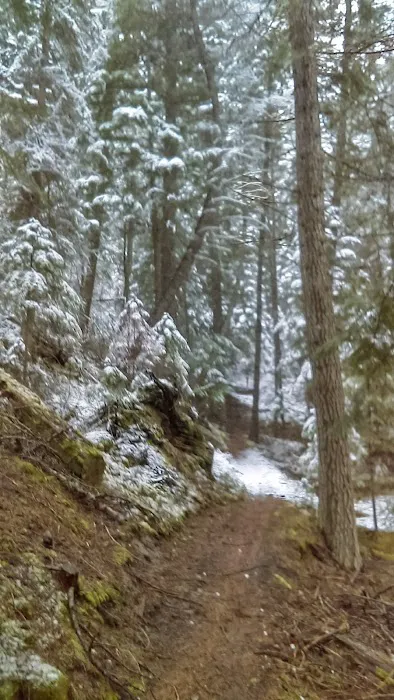 Poverty Flat Campground Picture 6