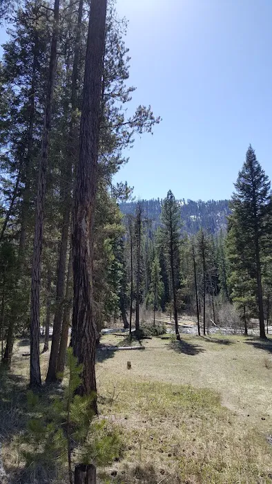Poverty Flat Campground Picture 5