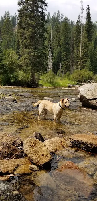 Poverty Flat Campground Picture 8