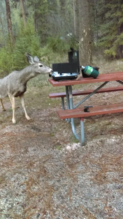 Poverty Flat Campground Picture 9