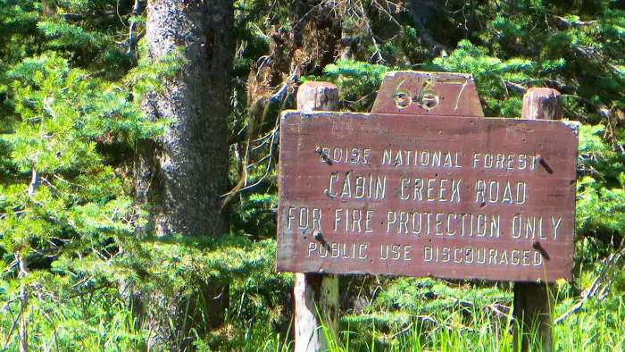 Trout Creek Campground Picture 3