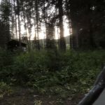 Penny Springs Campground