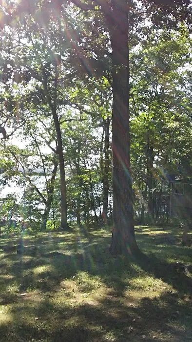 Guernsey Lake Mobile Home Community Picture 3
