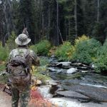 Kennally Creek Campground