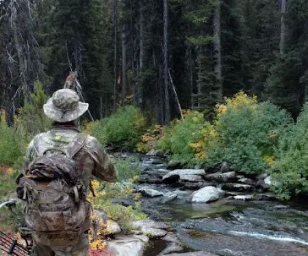 Kennally Creek Campground