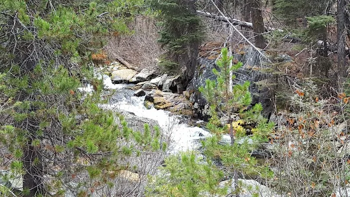 Kennally Creek Campground Picture 2