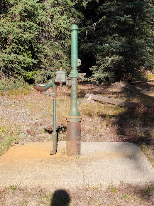 Kennally Creek Campground Picture 9