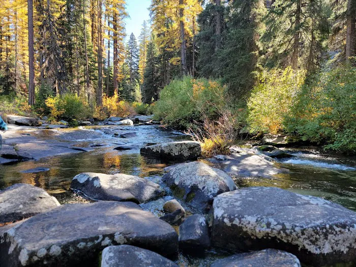 Kennally Creek Campground Picture 5
