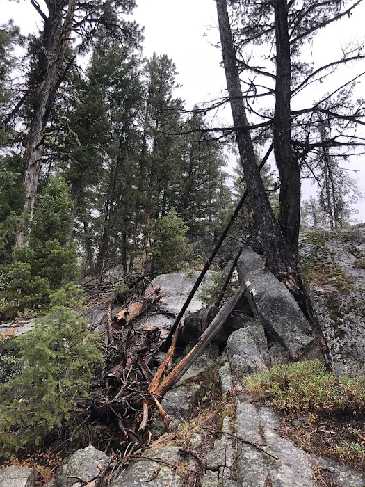Kennally Creek Campground Picture 8