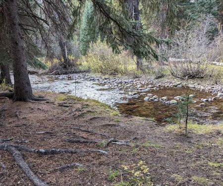 Paddy Flat Camping Area