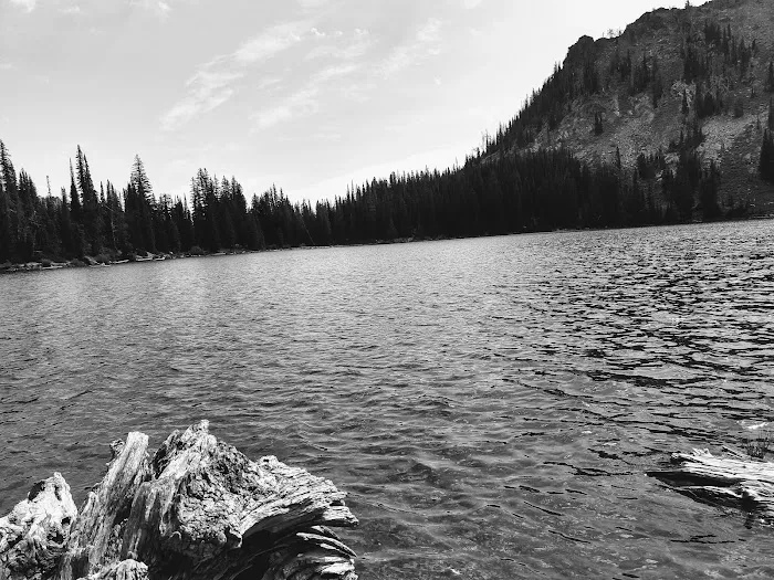 Black Lake Campground Picture 8