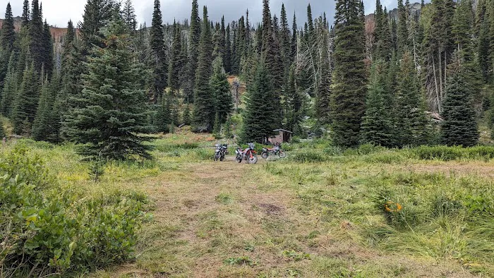 Black Lake Campground Picture 5