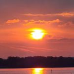 Shady Shores Association