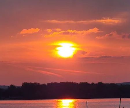 Shady Shores Association