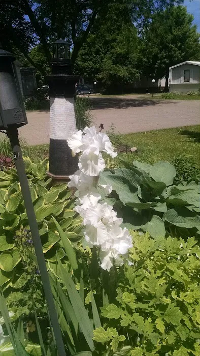 Evergreen Park Picture 4