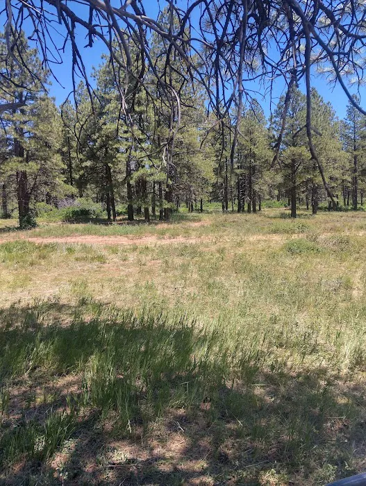 Dove Creek Campground Picture 5