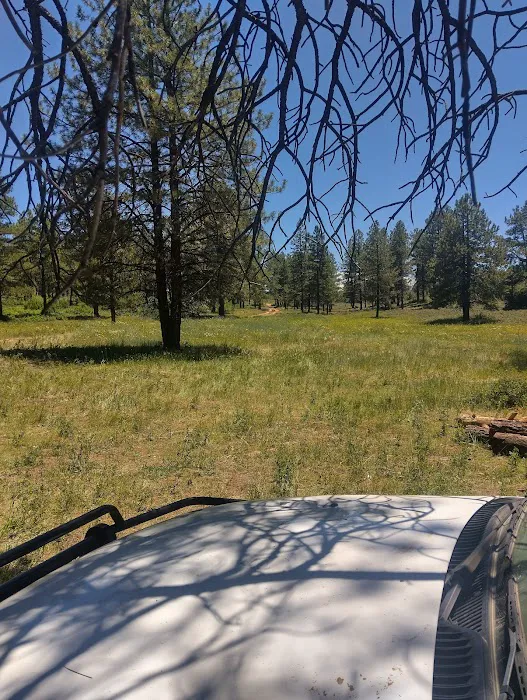 Dove Creek Campground Picture 4