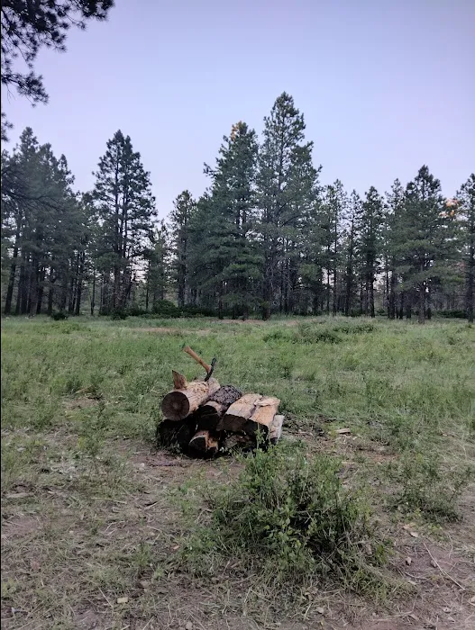 Dove Creek Campground Picture 3