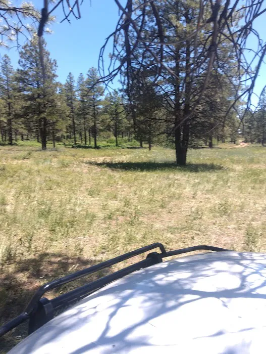 Dove Creek Campground Picture 6