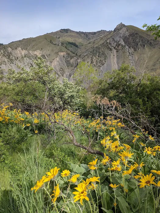 Big Bar Camping Area Picture 7