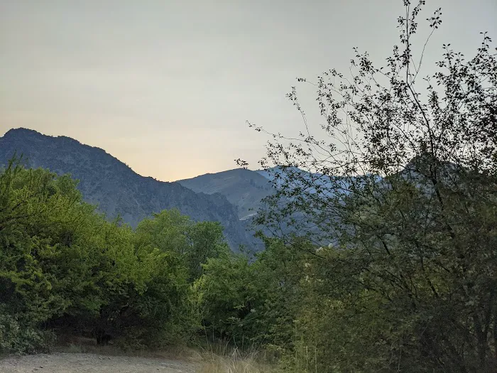 Big Bar Camping Area Picture 5