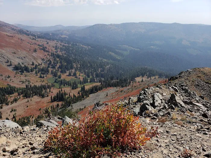 Huckleberry Campground Picture 7
